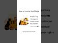 What Are Your Legal Rights as a Citizen?