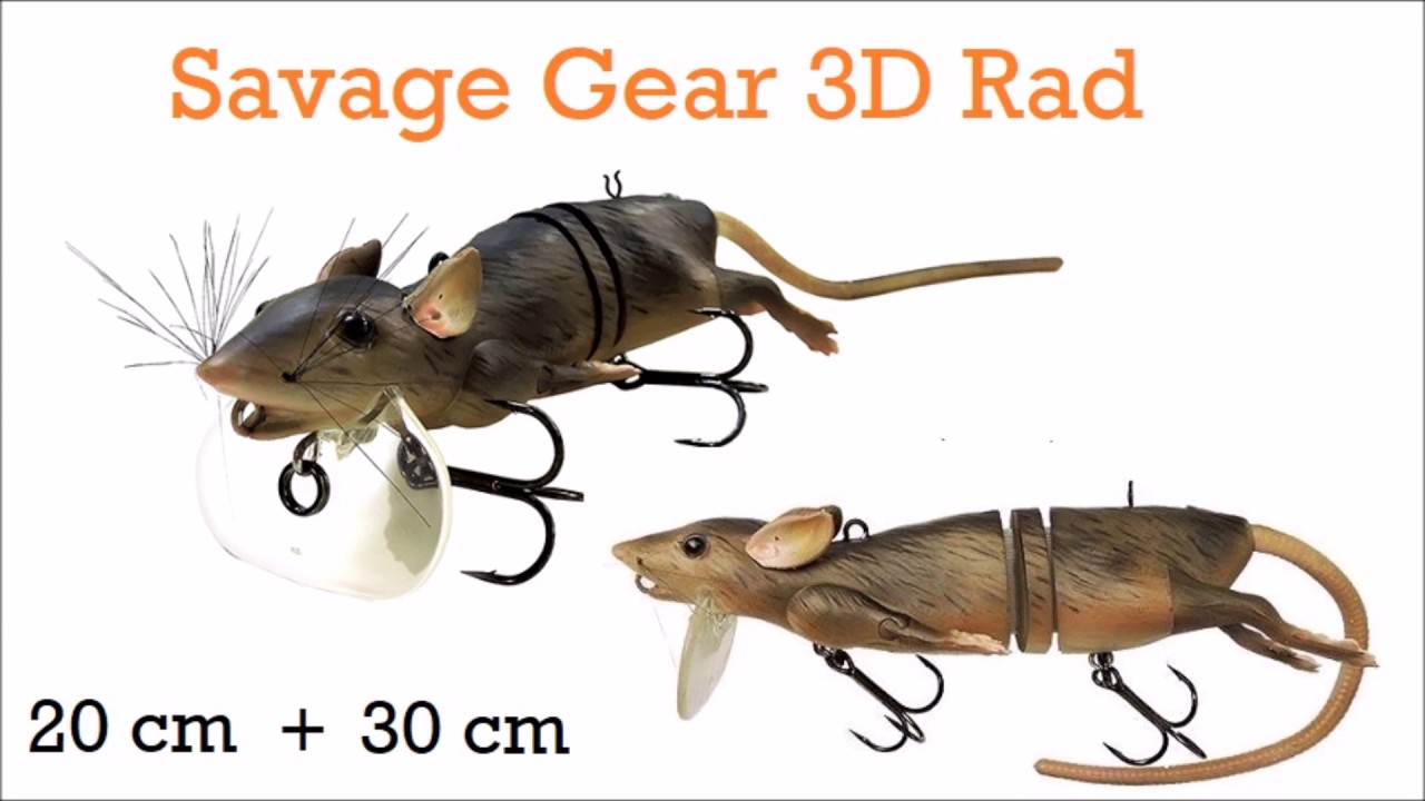 Savage Gear 3D Rad (Hengelsport 2000) 