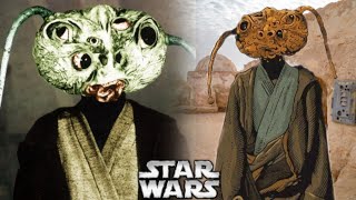 Vuvrians A Espécie Mais Bizarra Do Canon - Legends - Force Master Sw H