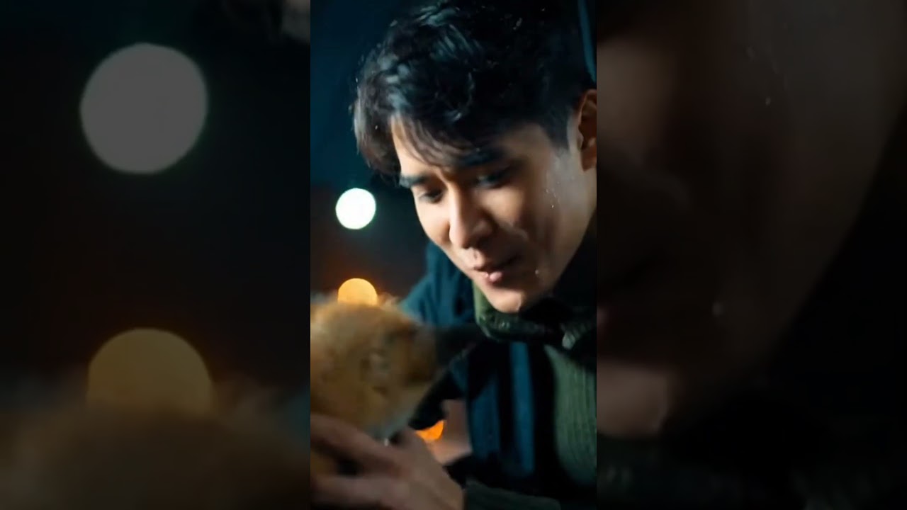 Soaked Fox Cub Rescued in Rain – Emotional Trust Moment ❤️ | Dodo Animals