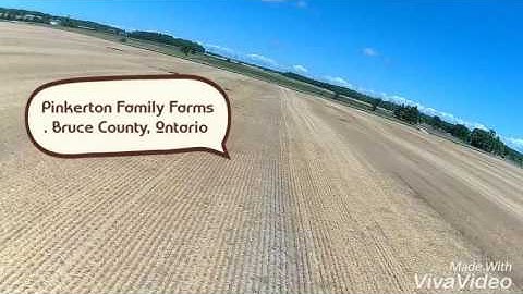 Max Altitude Flight to Free Fall over the Farm