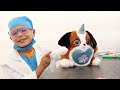 Brother Fixing Puppy Boo Boo! ~ Vet Visit PuppyCorn Rescue!