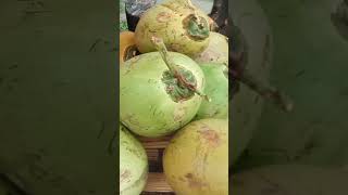 I bought a Fresh Coconut in Malaysiaπ΄/γγ¬γΌγ·γ’γ§γ³γ³γγγγθ²·γ£γγ...ε
₯γη©γ―...γγβοΈ #Shorts