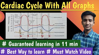 Cardiac Cycle || Physiology||with all graphs and phases||Pressure Volume changes|| by Ashish Agrawal