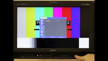 PLURA Tutorials: Changing Languages on a PBM Monitor