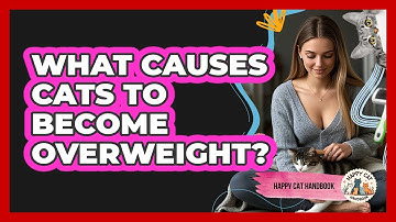 What Causes Cats To Become Overweight? - Happy Cat Handbook