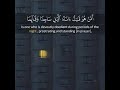 القارئ محمد صديق المنشاوي قرآن كريم مقاطع قصيرة تلاوة عطرة خاشعة حالات واتساب دينية
