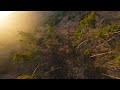 FPV Sunset Tree Freestyle - iFlight Nazgul Eco - Velký osek