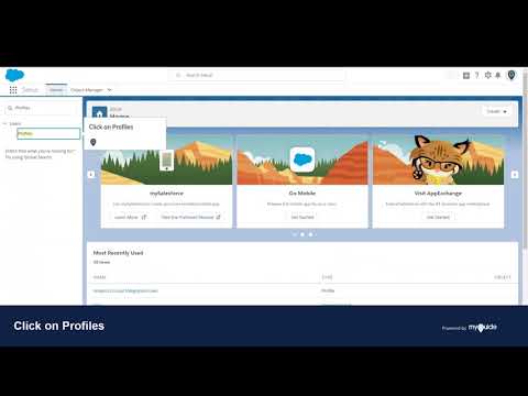 How to Set Login IP Ranges for any Profile in Salesforce Lightning