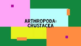 Arthropods Crustacea
