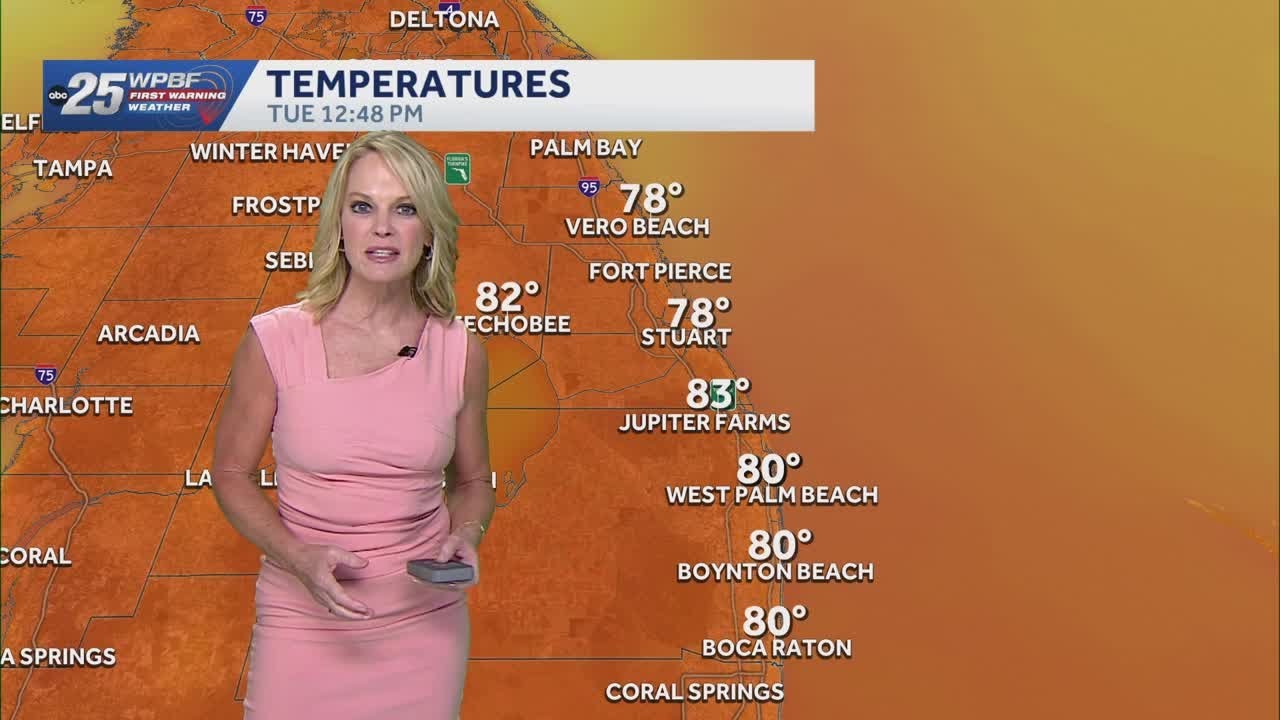 Warm temperatures with a light wind across South Florida
