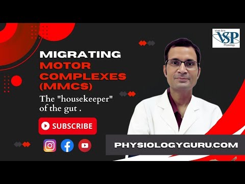 Migrating motor complexes (MMCs):- The 