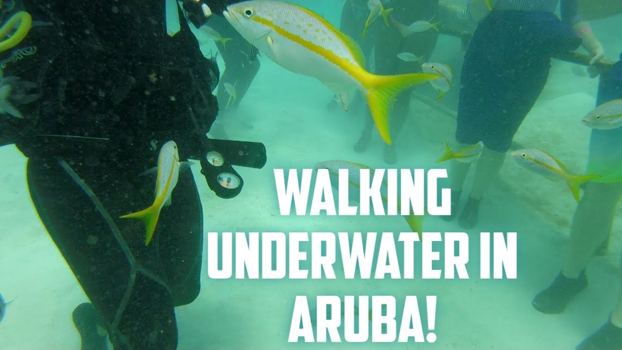 underwater sea trek in aruba