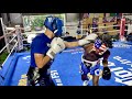 War sparring at the boxing gym