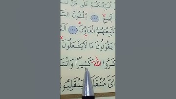 سورة الشعراء الأية 225 إلى 227 بصوت سعد الغامدي