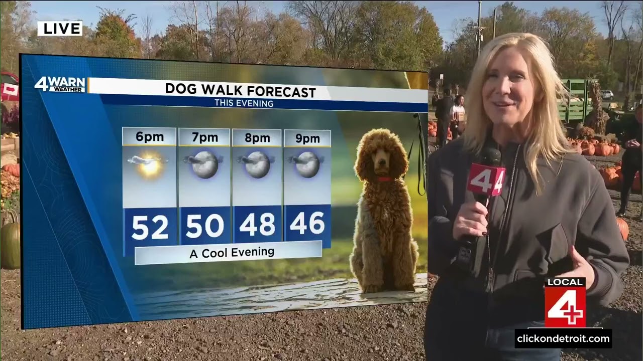 Kim Adams 10/16/2024 WDIV 4 NBC