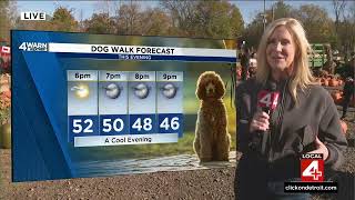 Kim Adams 10/16/2024 WDIV 4 NBC Information