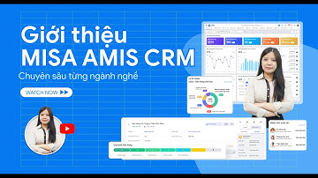 Giải pháp Quản lý đội Sales hiệu quả | MISA AMIS CRM