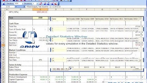 How to Use Data and Statistics Windows in @RISK