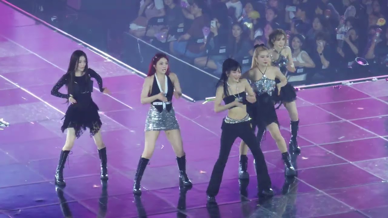 240803 Red Velvet FANCON TOUR[HAPPINESS : My Dear, ReVe1uv] in SEOUL - Feel My Rhythm fancam