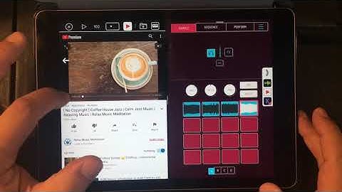 KOALA SAMPLER - How To Sample From YouTube - Fastest Way