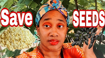 PREPARING FOR HARD TIMES | SAVE YOUR OWN SEEDS, SAVE MONEY, AND GET MORE