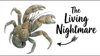 The Coconut Crab Evolutionary Nightmare