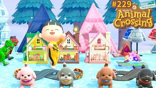 Nouveaux jouets + cartes Amiibo Animal Crossing New Horizons 229