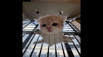 hvh highlights ft. gamesense/skeet | best cfg | best lua