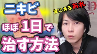 【美肌】知らなきゃ損！ニキビをほぼ1日で治す方法！家にあるあれ！