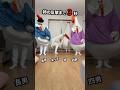 [mosi mosi?] ちょうどいい音がすると思ったら姉でした #ASMR #mosimosi #楽音 #dance #tiktok #踊ってみた #きぐるみ母さん