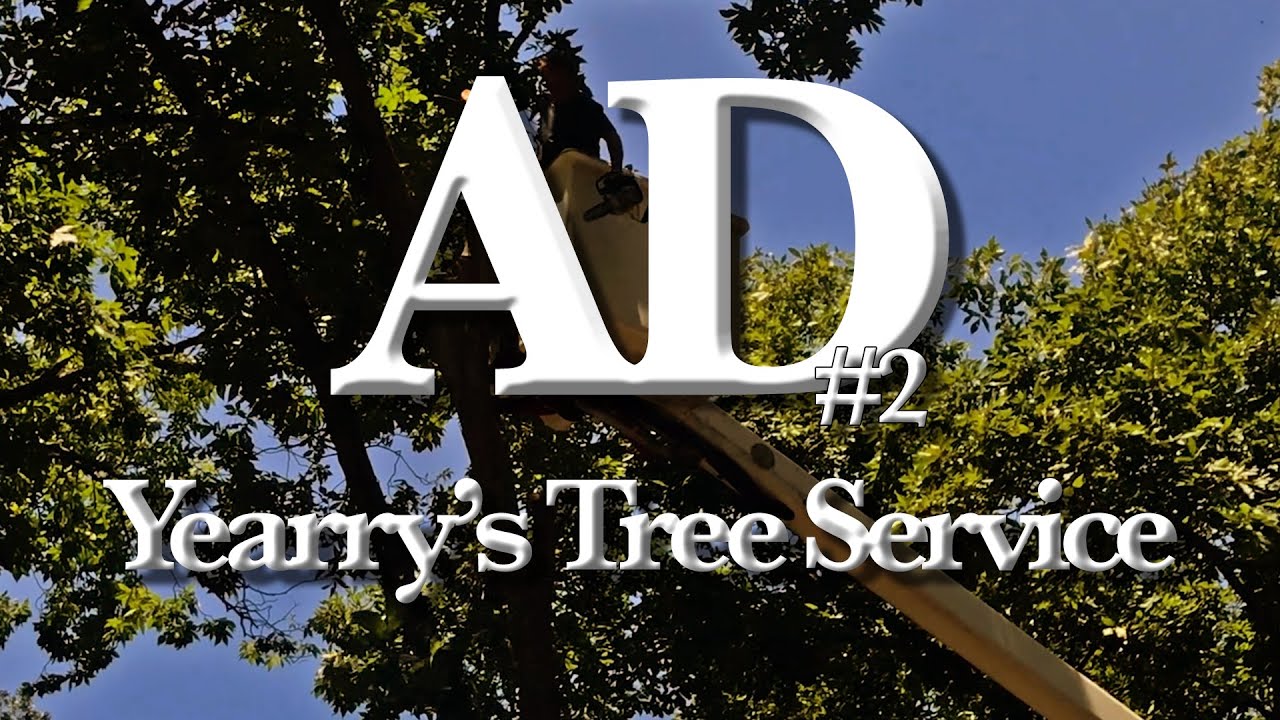 Yearry's Tree Service Ad 2 (an Advertisement by Jordan Young) - YouTube