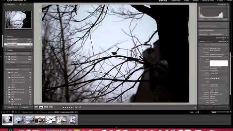 The Lightroom Captioning Process