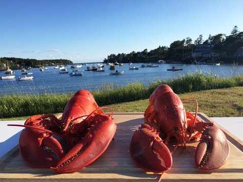 how-to-cook-lobster-+-a-grapefruit-and-dill-homemade-mayonnaise,-with-bonefish-grill