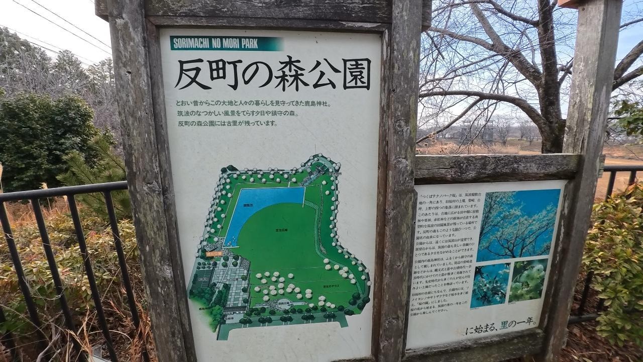 【反町の森公園】に行ってみた（2026/02/06）