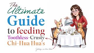 The Ultimate Guide to Feeding Toothless, Crusty Chihuahuas