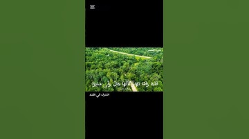 سوره القصص الشيخ ياسر الدوسري #قرآن #الرحمن #ياسر_الدوسري