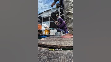 Vlog 1 ngày nắng đẹp đi câu Bè ở Biển Nha Trang cùng anh em. Đợt này biển động cá áp bè là có thật