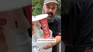 Make a moth trap! (Part 2)