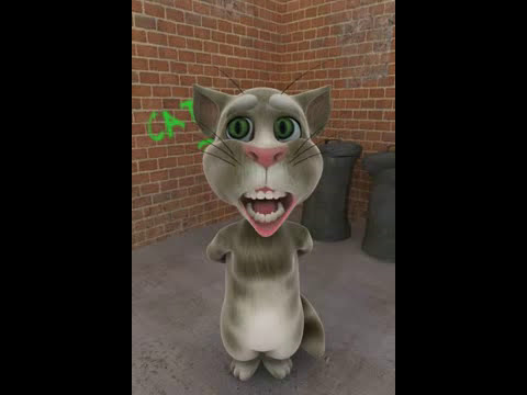  Tatti Aayi Hai   Talking Tom   YouTube