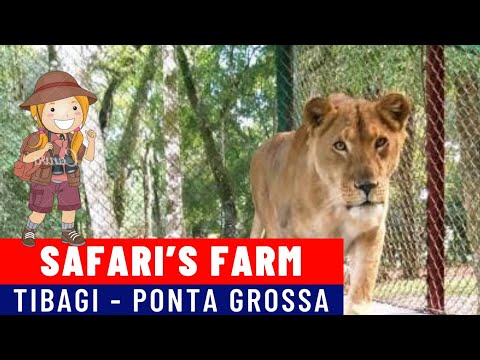 Safari´s Farm em Tibagi - Ponta Grosa / Turismo no Paraná - YouTube