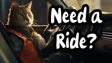 A Cat Drives Me Home! | Nip for Speed