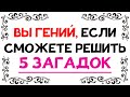 Загадки на логику: проверка ума 🧠