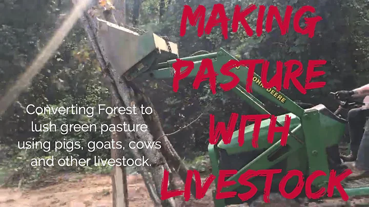 Making Pasture With Pigs and Goats: Starting Silvopasture