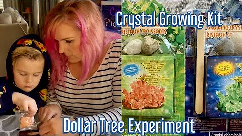 Growing  Crystals Kit From The Dollar Tree. Grow your own Crystals!