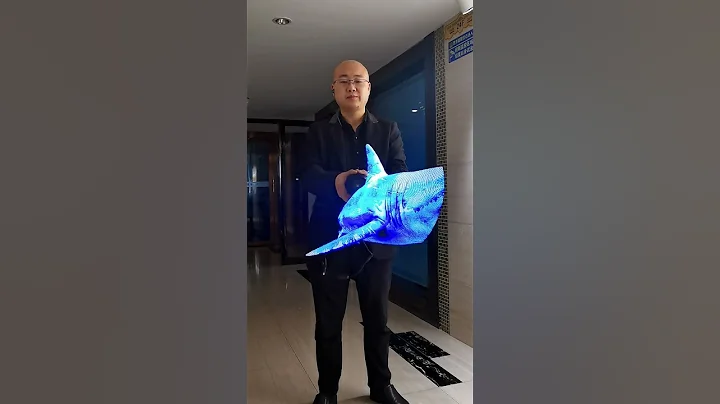 65cm deluxe version holographic fan shark #shark #3d #ledfan #holographic #advertising #amazing #fyp