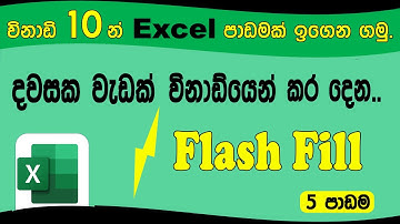 Ms Excel මුල සිට ඉගෙන ගමු - 5 පාඩම - Flash Fill