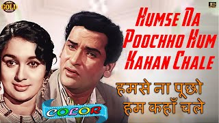 Humse Na Poocho Hum - China Town 1962 - Color (HD) - Asha Bhosle, Rafi - Shammi Kapoor, Shakila