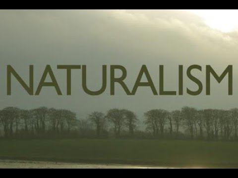 Бейне: Натурализм дегеніміз не