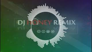 P.R.E.M.I -  Ravihans ft. Samitha [ Dj Honey Remix ]